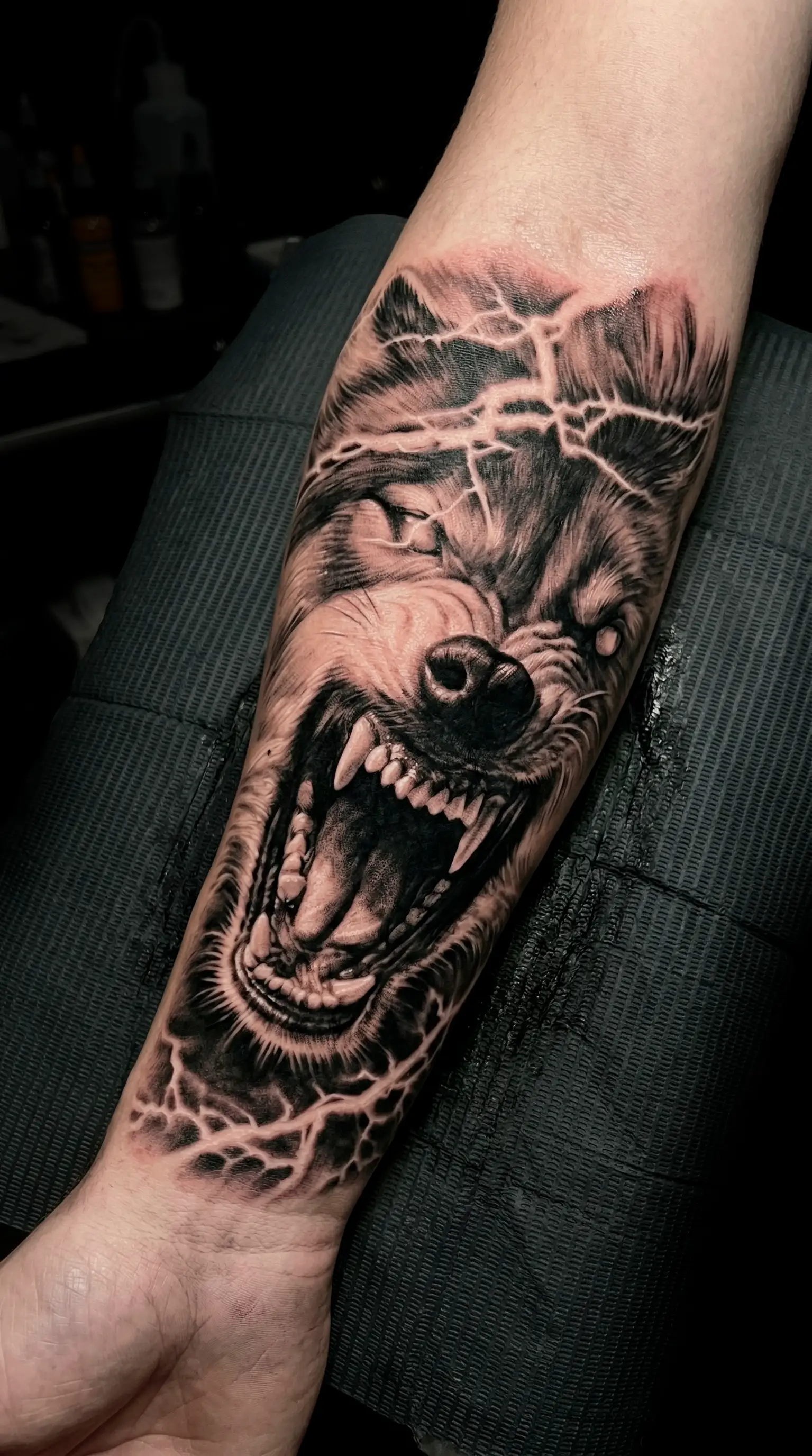 Тату злой волк с клыками и электрическими молниями на предплечье — black and grey реализм мужская тату Москва